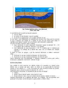 Valorificarea energetică a resurselor geotermale - Pagina 3