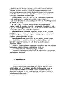 Auditul - Caracteristici Generale - Pagina 3