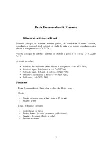 Analiza Dexia Kommunalkredit România - Pagina 3