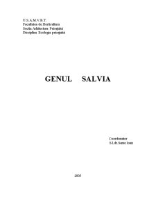 Genul Salvia - Pagina 1