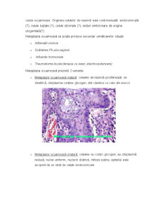 Cancerul Uterin - Pagina 5