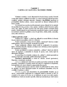 Caracterizarea Merceologică a Salamului de Sibiu - Pagina 4