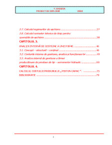 Analiza Interna de Gestiune a Produsului Servomotor - Pagina 2