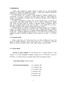Evaluarea Firmei - SC Decorama SRL - Pagina 3