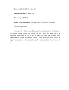 Evaluarea Firmei - SC Decorama SRL - Pagina 4