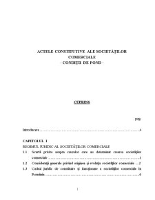 Actele Constitutive ale Societăților Comerciale - Pagina 1