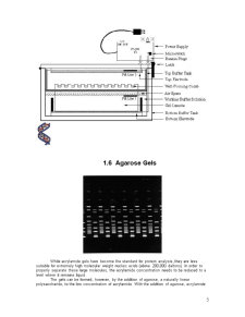 Electroforeză - Pagina 5