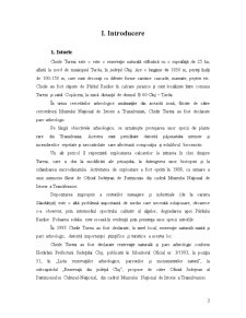 Plan de management - Rezervația Naturală Cheile Tureni - Pagina 3