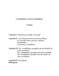Contabilitatea Activetor Imobilizate - Pagina 1