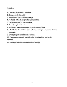 Rolul Managementului Strategic în Amplificarea Performanțelor Firmelor Românești - Pagina 2