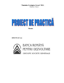 Proiect practică - BRD - Pagina 1