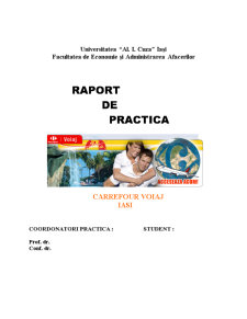 Proiect practică - Carrefour Voiaj - Pagina 1