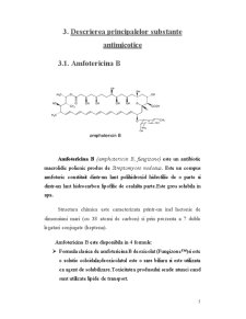 Substanțe medicamentoase cu acțiune antimicotică - Pagina 5