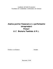 Analiza poziției financiare și a performanței întreprinderii - SC Brutărie Familială SRL - Pagina 1