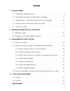 Identificarea și Gestiunea Costurilor Firmei SC Fanpan SRL Targu-Neamt - Anul de Analiza 2007 - Pagina 2