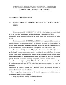 Importanta Intocmirii Bugetului de Venituri si Cheltuieli la SC Romvelo SA Ludus - Pagina 4