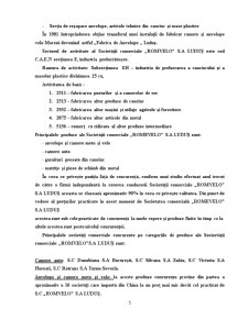 Importanta Intocmirii Bugetului de Venituri si Cheltuieli la SC Romvelo SA Ludus - Pagina 5