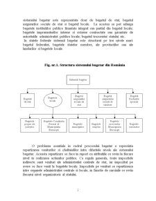 Sistemul bugetar al României - Pagina 2