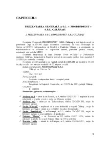Practică de specialitate - SC Prodindpest SRL Călărași - Pagina 3