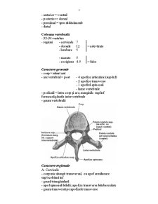 Osteologie - Pagina 3