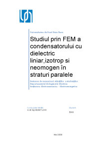 Studiul prin FEM a Condensatorului cu Dielectric Liniar, Izotrop și Neomogen în Straturi Paralele - Pagina 1