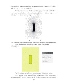 Studiul prin FEM a Condensatorului cu Dielectric Liniar, Izotrop și Neomogen în Straturi Paralele - Pagina 5