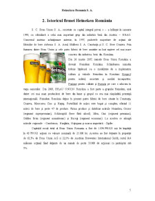 Analiza mediului înconjurător - Heineken România SA - Pagina 4
