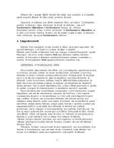 Biotehnologie - metode de asigurare a limpidității - Pagina 4