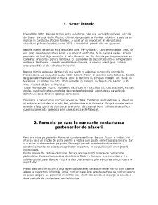 Proiect de practică - Barone Pizzini - Pagina 3