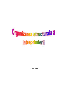 Organizarea structurală a întreprinderii - Pagina 1