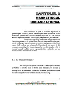 Comportamentul de Achiziție al Organizației - Pagina 5