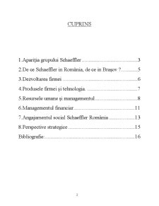 Studiu de Caz - SC Schaeffler România SRL - Pagina 2