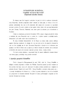 Studiu de Caz - SC Schaeffler România SRL - Pagina 3
