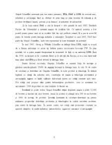 Studiu de Caz - SC Schaeffler România SRL - Pagina 4