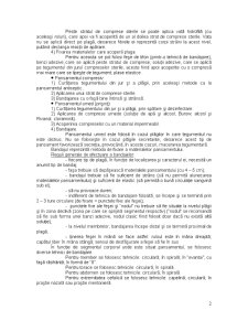 Pansamentul - Procedurile Termice - Pagina 2