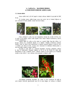 Tehnologia de Fabricare a Cafelei - Pagina 4