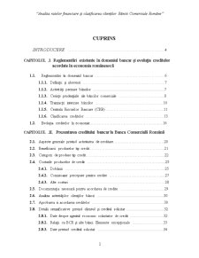 Analiza Ratelor Financiare și Clasificarea Clienților Băncii Comerciale Române - Pagina 2