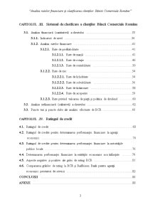 Analiza Ratelor Financiare și Clasificarea Clienților Băncii Comerciale Române - Pagina 3