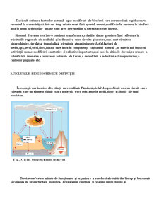 Modificarea Ciclurilor Biogeochimice - Pagina 4