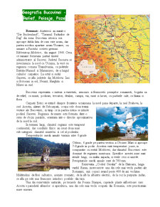 Mânăstirile din nordul Bucovinei - Pagina 2