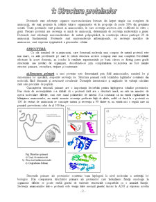 Structura proteinelor - Pagina 2