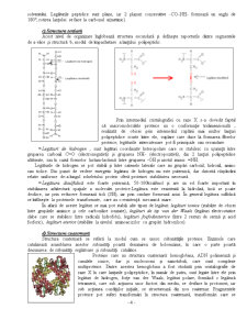 Structura proteinelor - Pagina 4