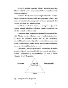 Structura Organizatorică - Pagina 4