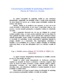 Caracterizarea mediului de marketing al firmei SC Fvior & Vidra SA Orăștie - Pagina 5