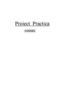 Proiect practică - Radioton - Pagina 1