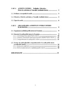 Organizarea Auditului Intern - Pagina 2