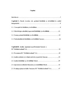 Gestiunea Lichidității și Solvabilității în Cadrul Întreprinderii - Pagina 3