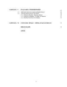 Evaluarea Intreprinderii - Studiu de Caz - Pagina 3