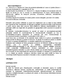 Merceologie nealimentară - societatea comercială de construcții Bravcof SA - Pagina 2