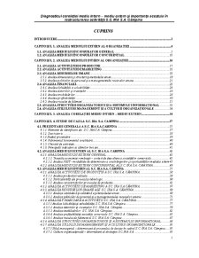 Diagnosticul corelației mediu intern - mediu extern și importanța acestuia în restructurarea activității SC Ira SA Câmpina - Pagina 1
